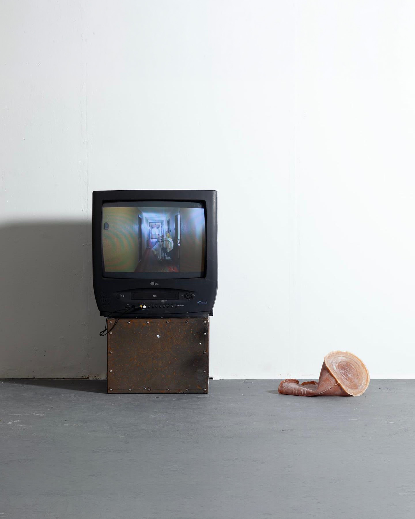 Judgement Proof, Darya Diamond, New Contemporaries, 2021.