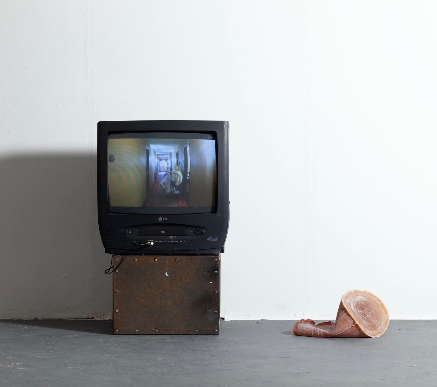 Judgement Proof, Darya Diamond, New Contemporaries, 2021.