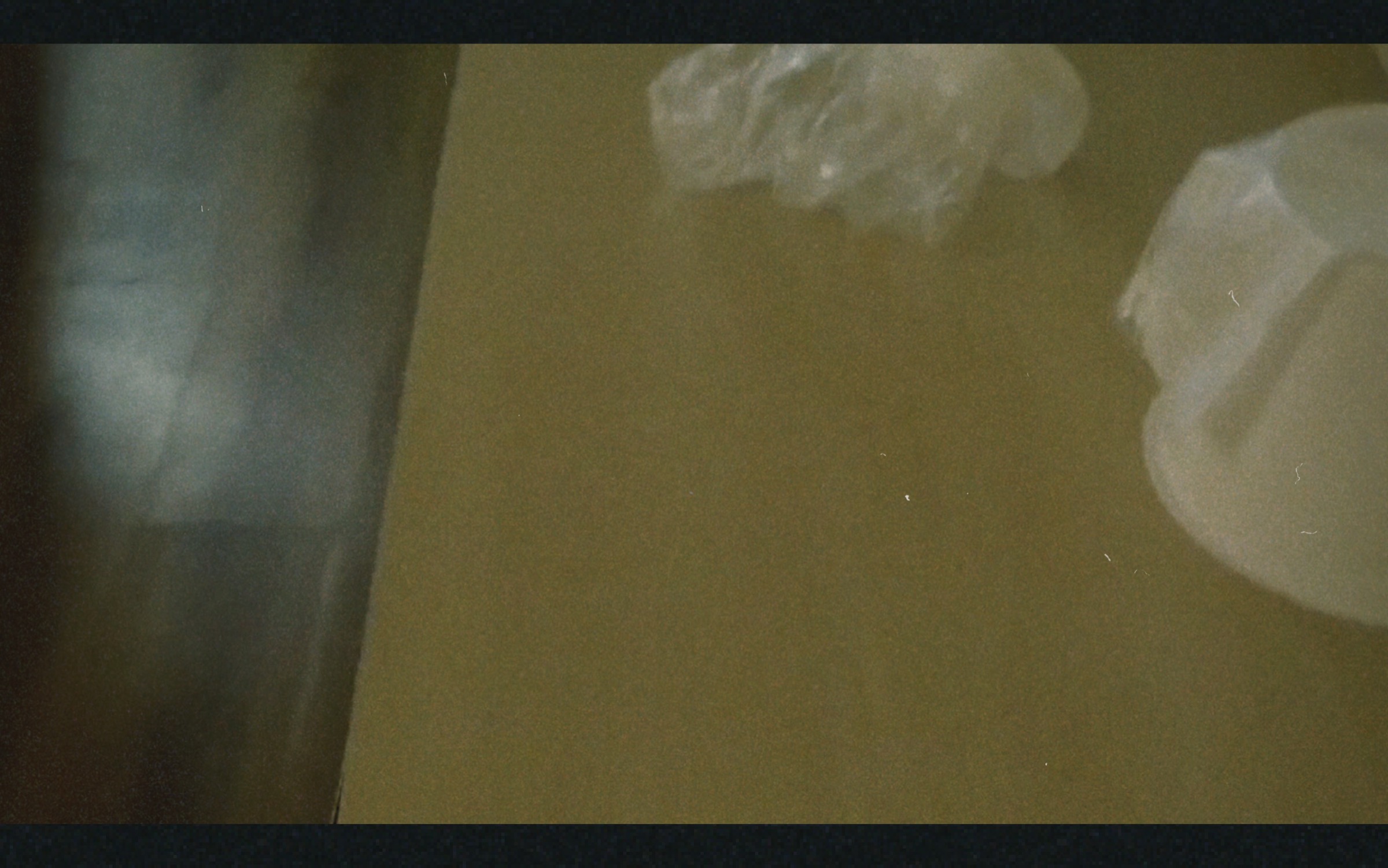 Judgement Proof, Darya Diamond, 2020. SD video on CRTV, cast latex wash bucket.