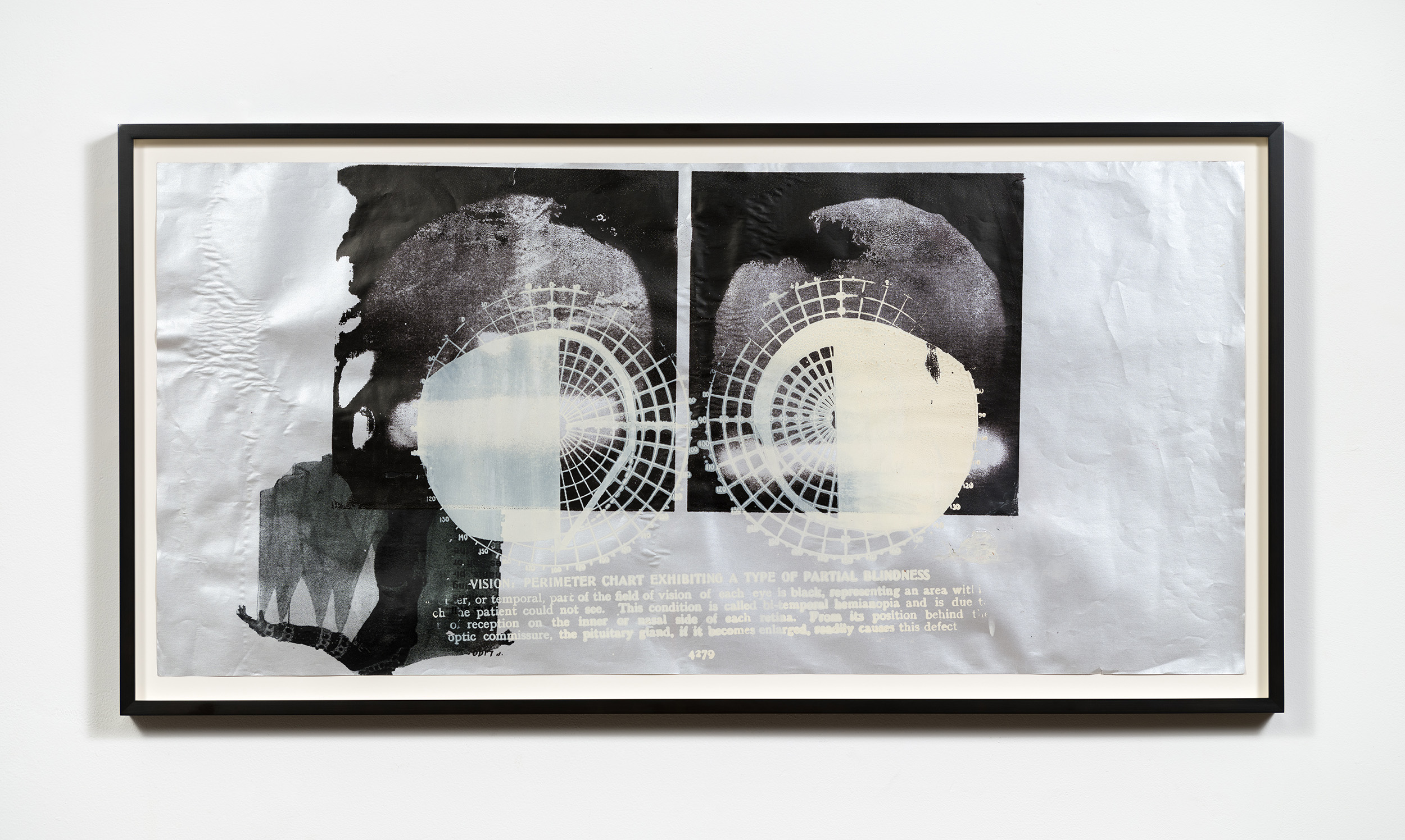 Field of Vision by Darya Diamond, 2021. Lithograph and silk screen on archival paper, 22" × 43".