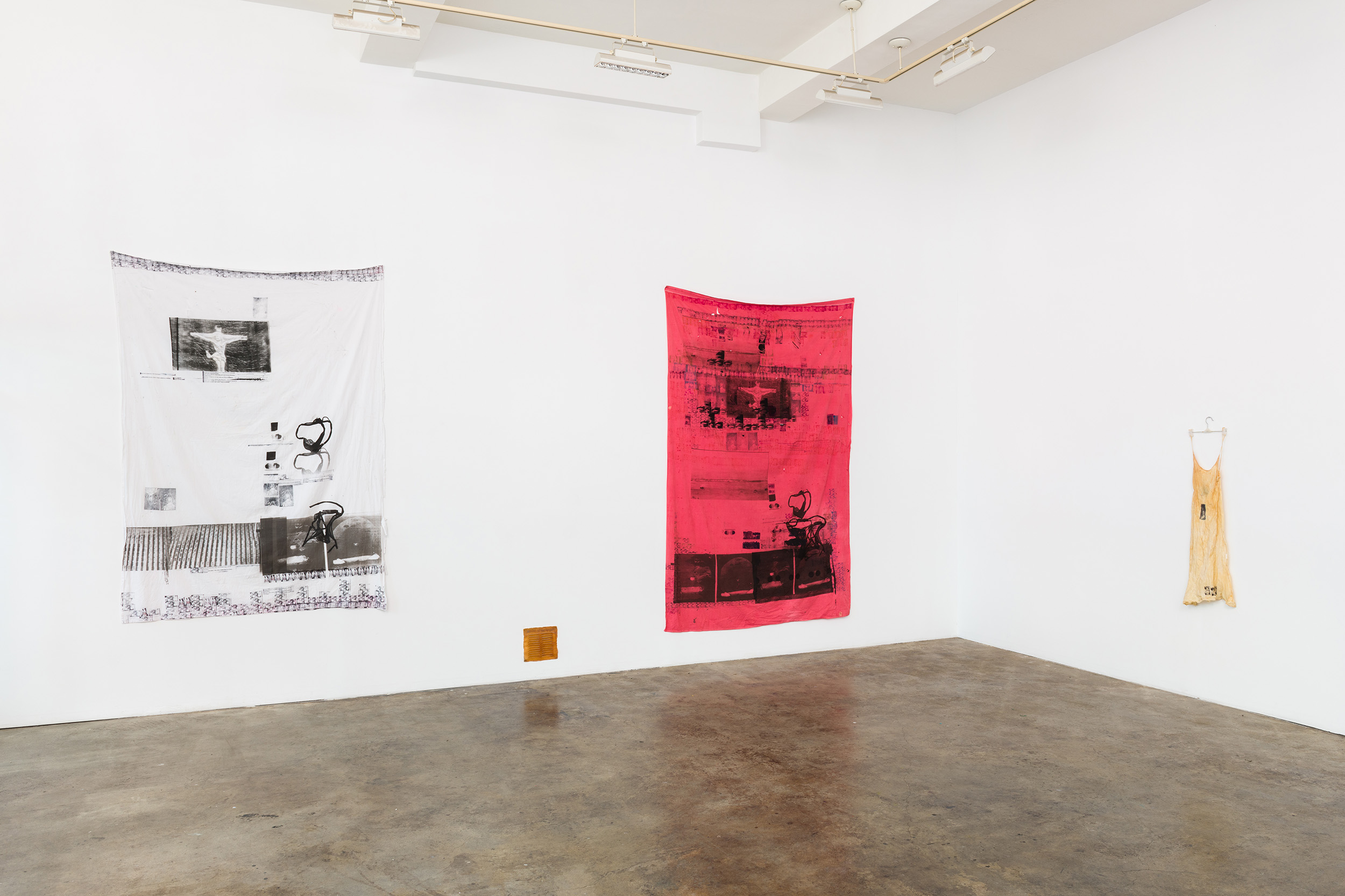Installation view of Primordial Workplace, Darya Diamond's exhibition at Sebastian Gladstone, Los Angeles.