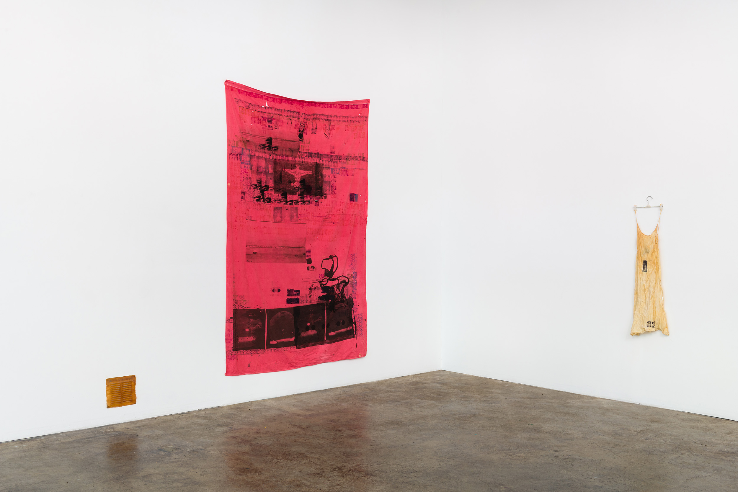 Installation view of Primordial Workplace, Darya Diamond's exhibition at Sebastian Gladstone, Los Angeles.