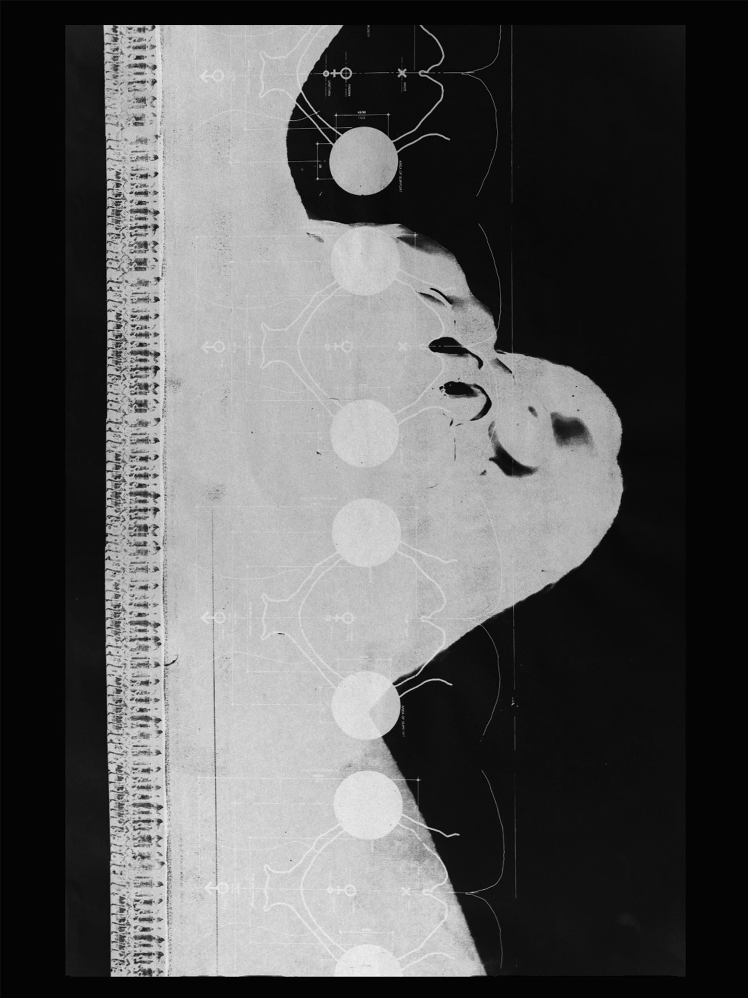 Darya Diamond, print work, image 4 of the Shop gallery.