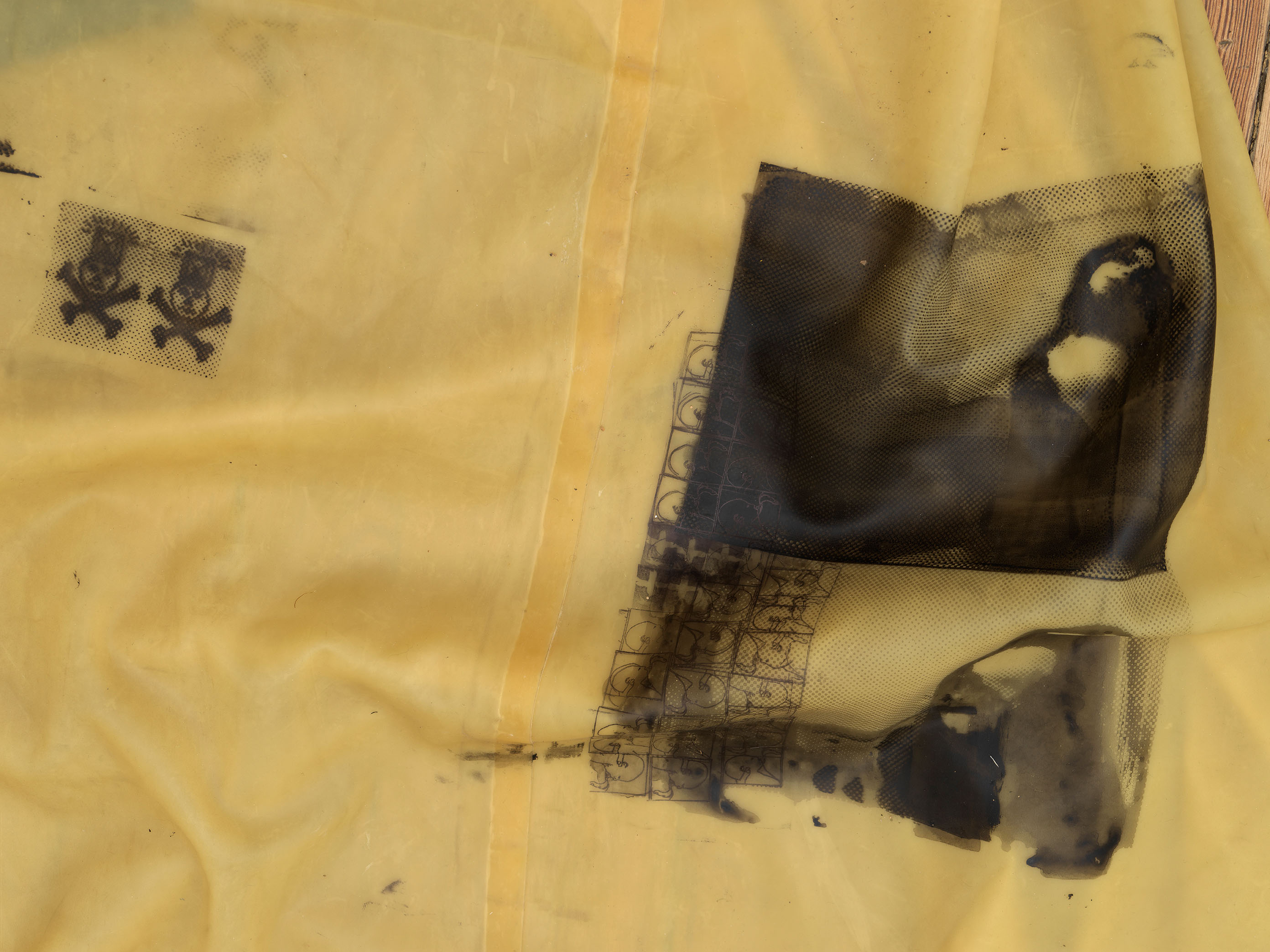 Detail from Tender Revelation, Darya Diamond's exhibition at Sebastian Gladstone, New York.