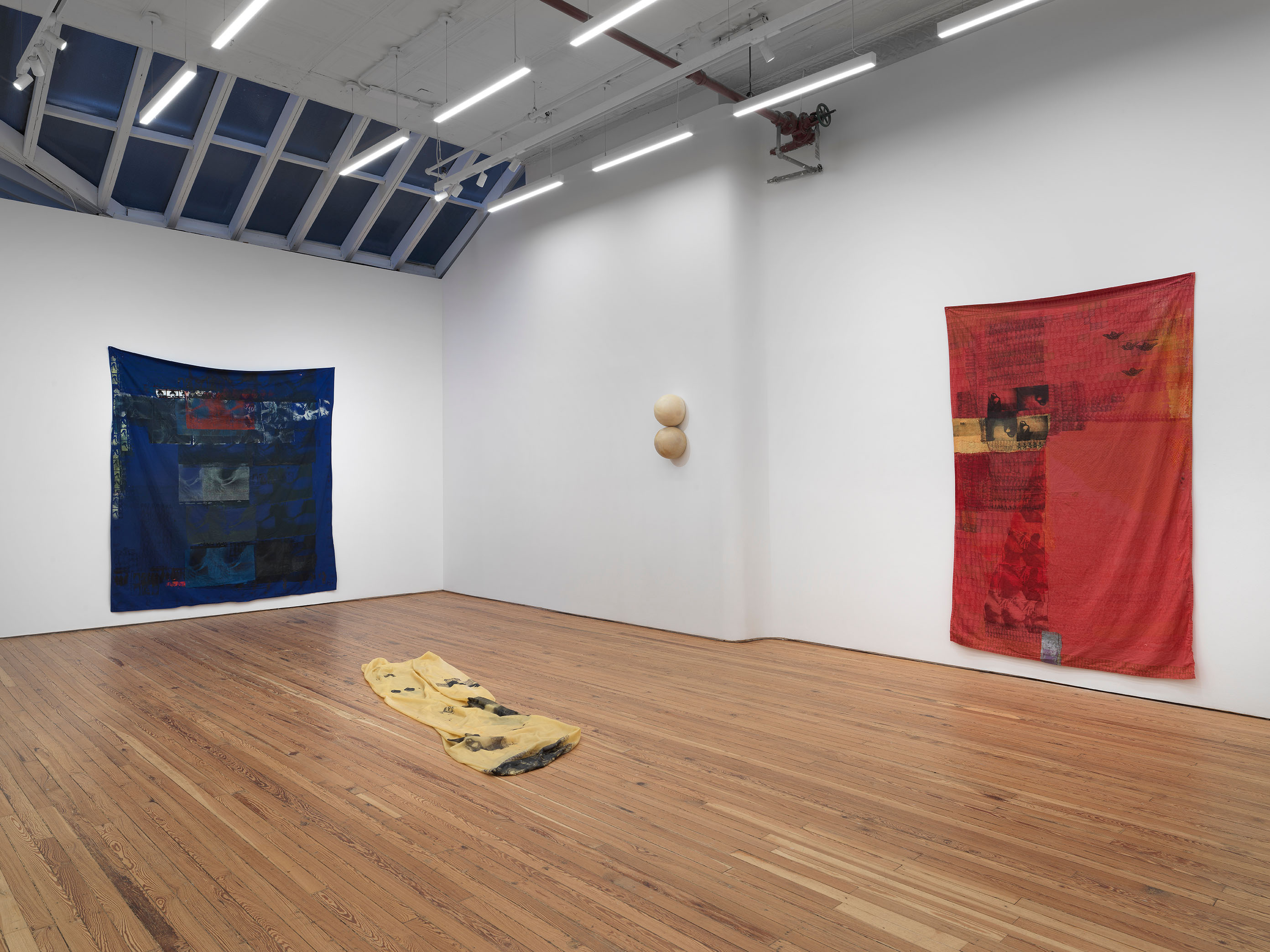 Installation view of Tender Revelation, Darya Diamond's exhibition at Sebastian Gladstone, New York.