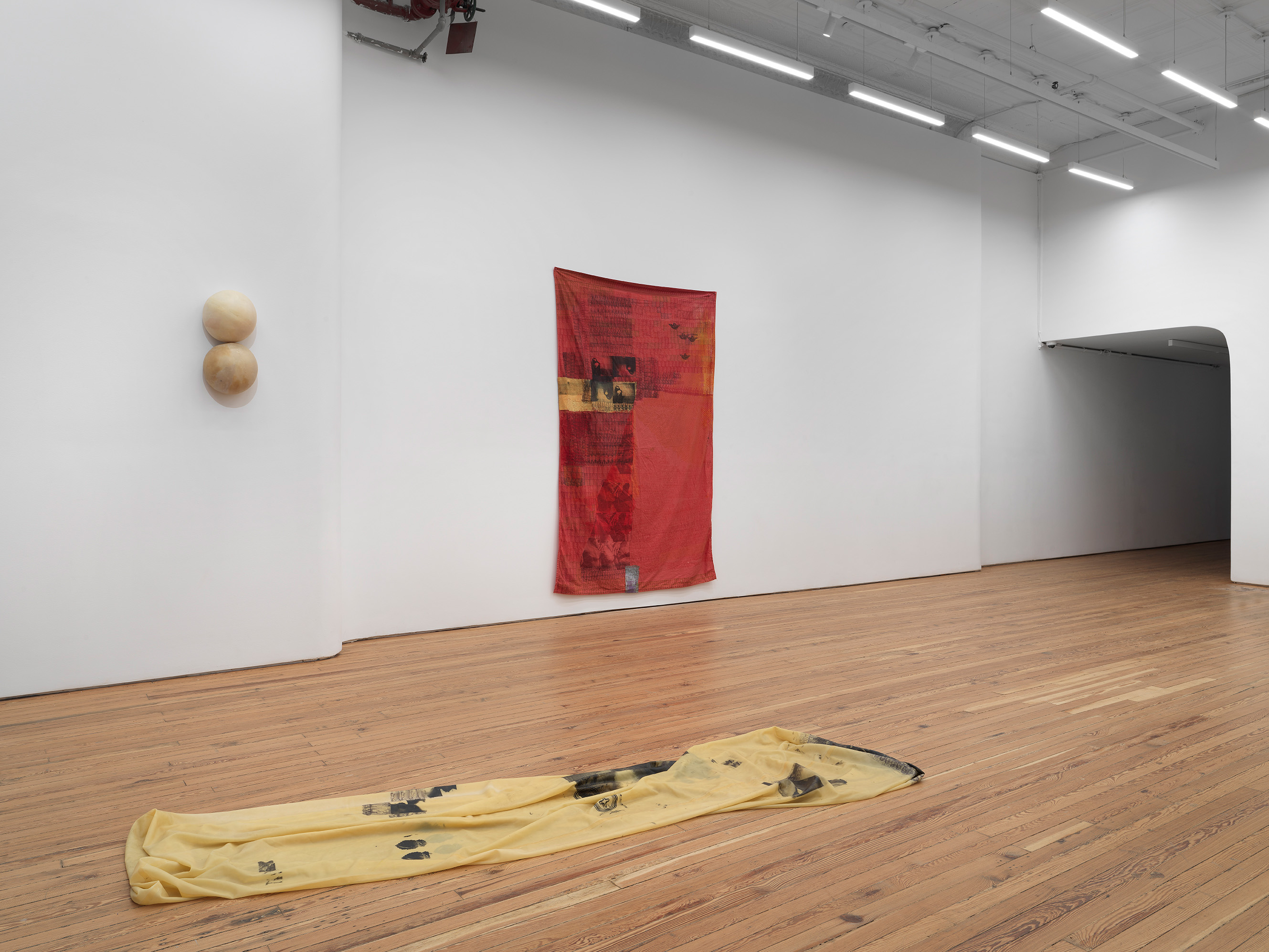 Installation view of Tender Revelation, Darya Diamond's exhibition at Sebastian Gladstone, New York.
